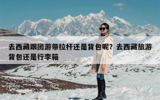 去西藏跟团游带拉杆还是背包呢？去西藏旅游背包还是行李箱