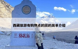 西藏旅游有购物点的团的简单介绍