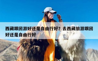 西藏跟团游好还是自由行好？去西藏旅游跟团好还是自由行好