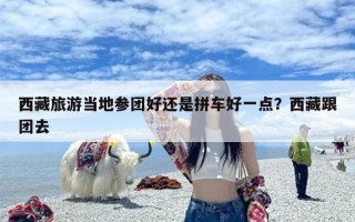 西藏旅游当地参团好还是拼车好一点？西藏跟团去