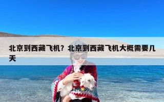 北京到西藏飞机？北京到西藏飞机大概需要几天