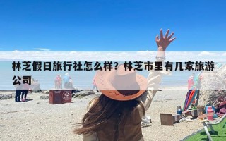 林芝假日旅行社怎么样？林芝市里有几家旅游公司