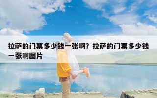 拉萨的门票多少钱一张啊？拉萨的门票多少钱一张啊图片