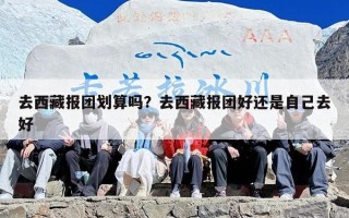 去西藏报团划算吗？去西藏报团好还是自己去好