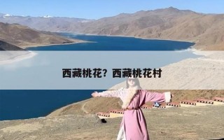 西藏桃花？西藏桃花村