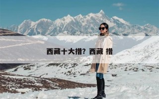 西藏十大措？西藏 措