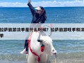 拉萨旅游淡季是什么时候？拉萨旅游旺季和淡季