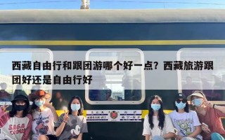 西藏自由行和跟团游哪个好一点？西藏旅游跟团好还是自由行好