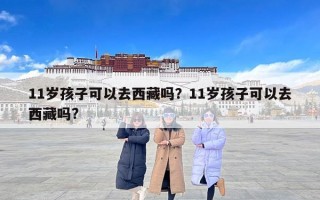 11岁孩子可以去西藏吗？11岁孩子可以去西藏吗?