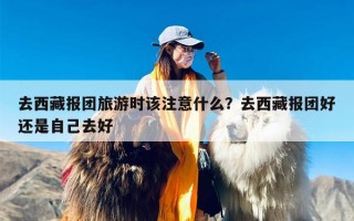 去西藏报团旅游时该注意什么？去西藏报团好还是自己去好