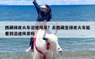 西藏绿皮火车沿途风景？去西藏坐绿皮火车能看到沿途风景吗
