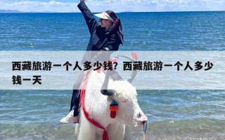 西藏旅游一个人多少钱？西藏旅游一个人多少钱一天