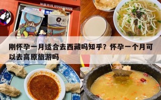 刚怀孕一月适合去西藏吗知乎？怀孕一个月可以去高原旅游吗