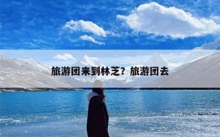 旅游团来到林芝？旅游团去