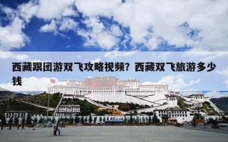 西藏跟团游双飞攻略视频？西藏双飞旅游多少钱