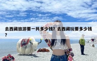 去西藏旅游要一共多少钱？去西藏玩要多少钱?