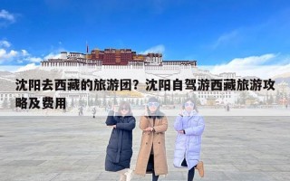 沈阳去西藏的旅游团？沈阳自驾游西藏旅游攻略及费用