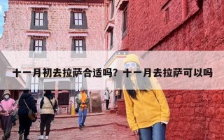 十一月初去拉萨合适吗？十一月去拉萨可以吗
