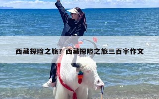西藏探险之旅？西藏探险之旅三百字作文