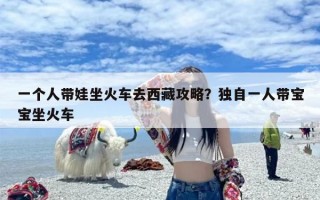 一个人带娃坐火车去西藏攻略？独自一人带宝宝坐火车