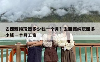 去西藏纯玩团多少钱一个月？去西藏纯玩团多少钱一个月工资