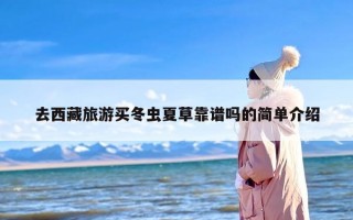 去西藏旅游买冬虫夏草靠谱吗的简单介绍