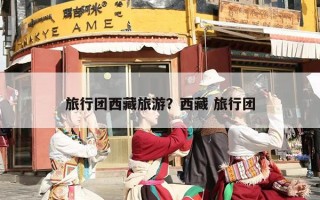 旅行团西藏旅游？西藏 旅行团