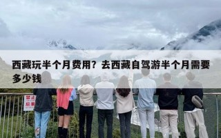 西藏玩半个月费用？去西藏自驾游半个月需要多少钱
