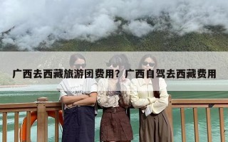 广西去西藏旅游团费用？广西自驾去西藏费用