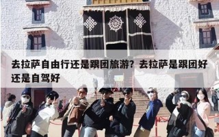 去拉萨自由行还是跟团旅游？去拉萨是跟团好还是自驾好
