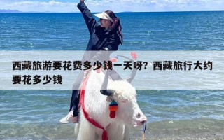 西藏旅游要花费多少钱一天呀？西藏旅行大约要花多少钱