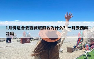 1月份适合去西藏旅游么为什么？一月去西藏冷吗