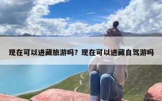 现在可以进藏旅游吗？现在可以进藏自驾游吗