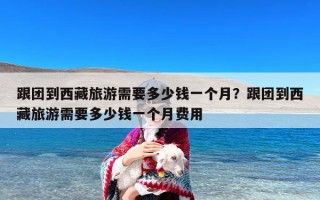 跟团到西藏旅游需要多少钱一个月？跟团到西藏旅游需要多少钱一个月费用