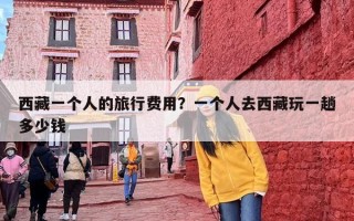 西藏一个人的旅行费用？一个人去西藏玩一趟多少钱