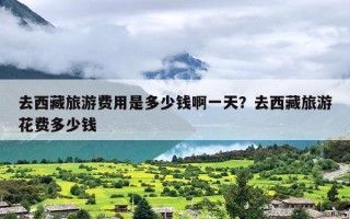 去西藏旅游费用是多少钱啊一天？去西藏旅游花费多少钱