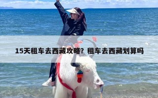 15天租车去西藏攻略？租车去西藏划算吗