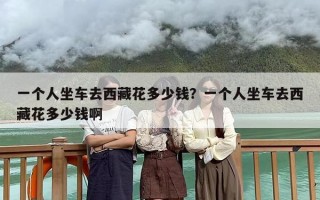 一个人坐车去西藏花多少钱？一个人坐车去西藏花多少钱啊
