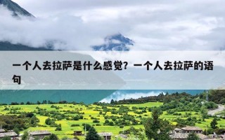 一个人去拉萨是什么感觉？一个人去拉萨的语句