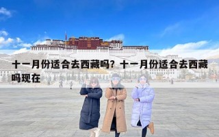 十一月份适合去西藏吗？十一月份适合去西藏吗现在
