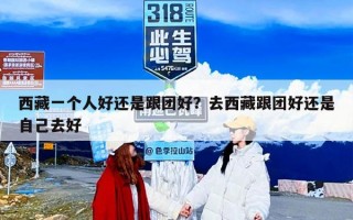 西藏一个人好还是跟团好？去西藏跟团好还是自己去好