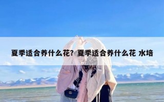 夏季适合养什么花？夏季适合养什么花 水培