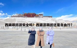西藏跟团游安全吗？西藏游跟团还是自由行?