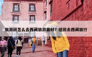 旅游团怎么去西藏旅游最好？组团去西藏旅行