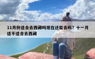 11月份适合去西藏吗现在还能去吗？十一月适不适合去西藏