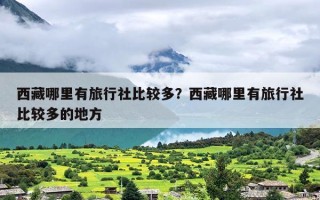 西藏哪里有旅行社比较多？西藏哪里有旅行社比较多的地方