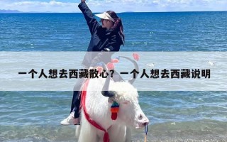 一个人想去西藏散心？一个人想去西藏说明