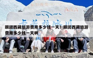 跟团西藏旅游费用多少钱一天？跟团西藏旅游费用多少钱一天啊