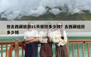 想去西藏旅游11天报团多少钱？去西藏组团多少钱