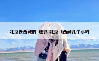 北京去西藏的飞机？北京飞西藏几个小时